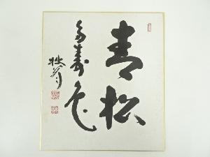 大木宗玄筆　「青松多寿色」　肉筆色紙